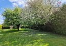 großer Garten mit Obstbäumen