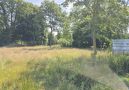 naturbelassener Garten