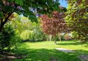 großer Garten