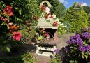 Garten mit Blütenpracht
