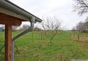 IMG_4382